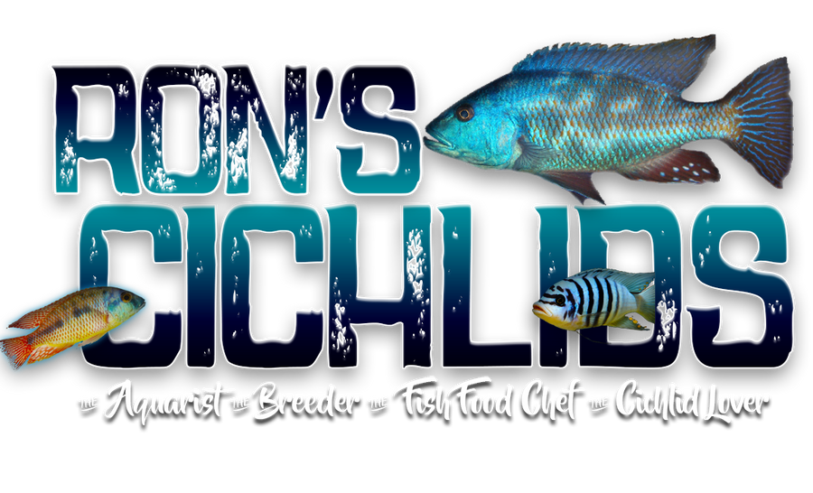 Rons Cichlids