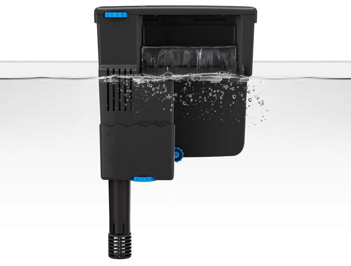 Fish Tank Filters – Rons Cichlids