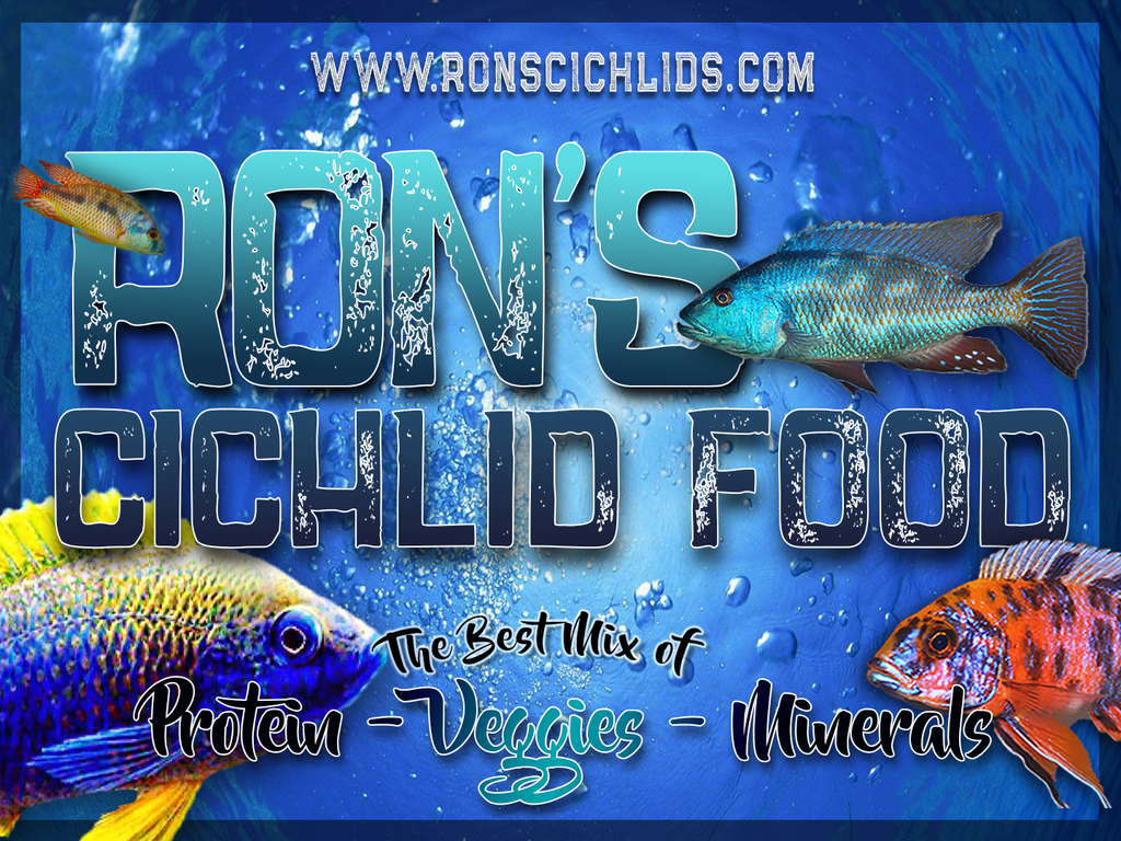 Ron's Cichlids Fry Food Sample - Rons Cichlids